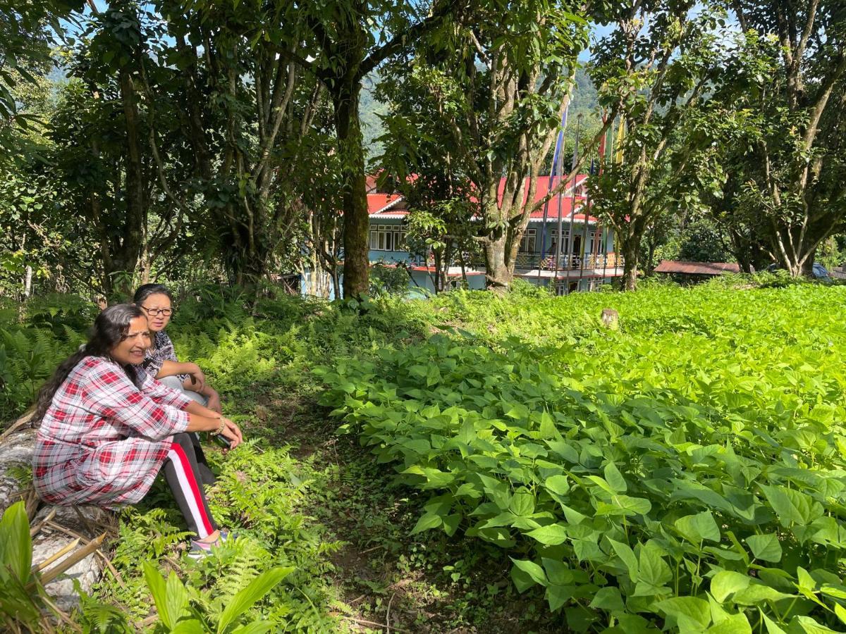 Khimsha Homestay Pelling Εξωτερικό φωτογραφία